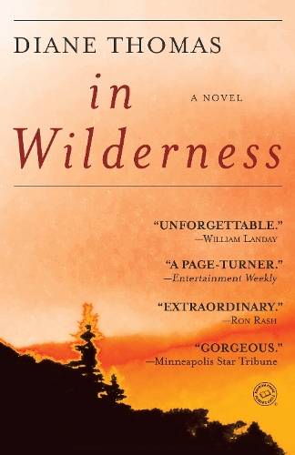 Бумажная книга «In Wilderness: A Novel», автор Диана Томас - фото №1