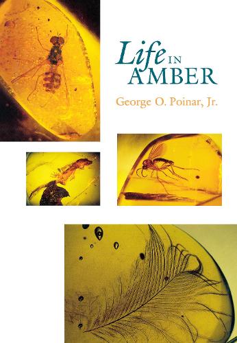 Бумажная книга «Life in Amber», автор Джордж О. Пойнар-младший - фото №1