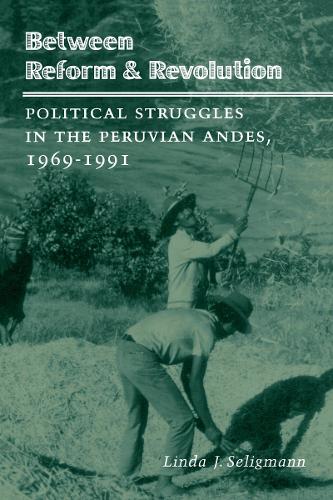 Бумажная книга «Between Reform and Revolution: Political Struggles in the Peruvian Andes, 1969-1991», автор Линда Дж. Селигманн - фото №1