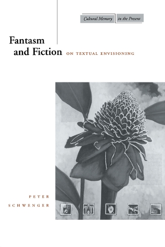 Бумажная книга «Fantasm and Fiction: On Textual Envisioning», автор Питер Швенгер - фото №1