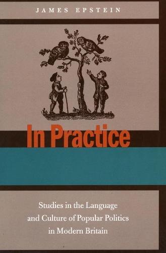 Бумажная книга «In Practice: Studies in the Language and Culture of Popular Politics in Modern Britain», автор Джеймс Эпштейн - фото №1