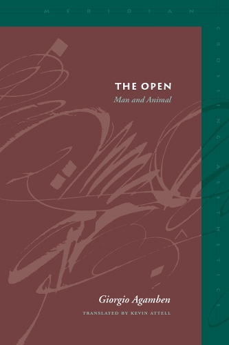 Паперова книга «The Open: Man and Animal», автор Джорджо Агамбен - фото №1