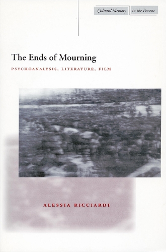 Бумажная книга «The Ends of Mourning: Psychoanalysis, Literature, Film», автор Алессия Риччарди - фото №1
