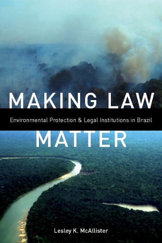 Бумажная книга «Making Law Matter: Environmental Protection and Legal Institutions in Brazil», автор Лесли К. Макалистер - фото №1
