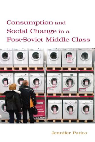 Паперова книга «Consumption and Social Change in a Post-Soviet Middle Class», автор Дженніфер Патіко - фото №1