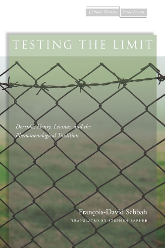 Бумажная книга «Testing the Limit: Derrida, Henry, Levinas, and the Phenomenological Tradition», автор Франсуа-Давид Себбах - фото №1