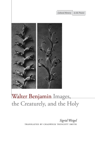 Паперова книга «Walter Benjamin: Images, the Creaturely, and the Holy», автор Сіґрід Вайґель - фото №1