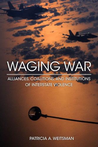 Бумажная книга «Waging War: Alliances, Coalitions, and Institutions of Interstate Violence», автор Патриция А. Вайтсман - фото №1