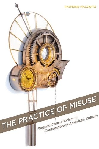 Бумажная книга «The Practice of Misuse: Rugged Consumerism in Contemporary American Culture», автор Раймонд Малевиц - фото №1
