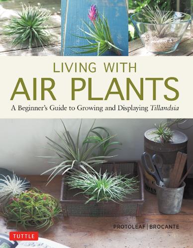 Бумажная книга «Living with Air Plants», авторов Йошихару Касима, Юкихиро Мацуда - фото №1