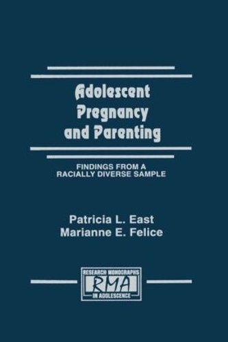 Бумажная книга «Adolescent Pregnancy and Parenting: Findings From A Racially Diverse Sample», авторов Марианна Э. Феличе, Патриция Л. Ист - фото №1