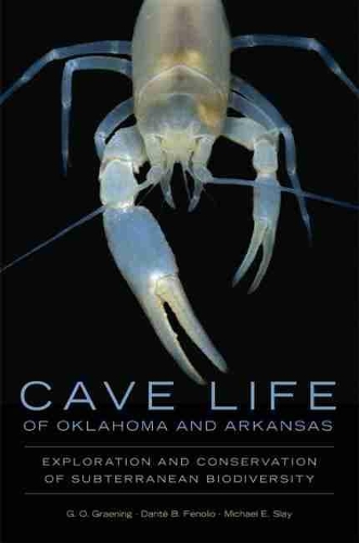 Бумажная книга «Cave Life of Oklahoma and Arkansas: Exploration and Conservation of Subterranean Biodiversity», авторов Данте Б. Фенолио, Г.О. Грейнинг, Майкл Э. Слэй - фото №1
