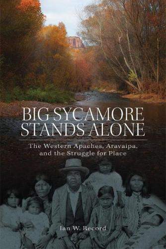 Бумажная книга «Big Sycamore Stands Alone: The Western Apaches, Aravaipa, and the Struggle for Place», автор Ян В. Рекорд - фото №1
