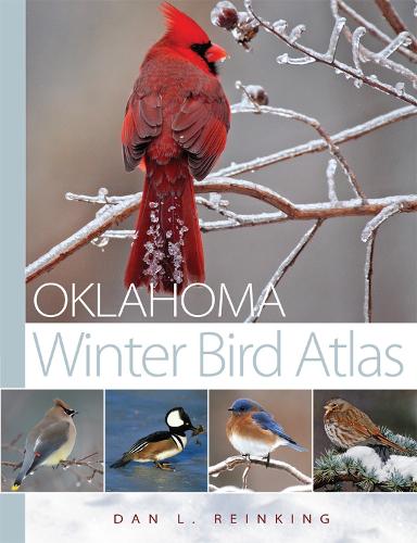 Бумажная книга «Oklahoma Winter Bird Atlas», автор Дэн Л. Рейнкинг - фото №1