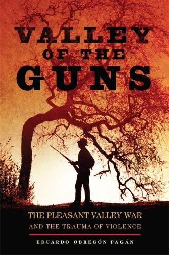 Бумажная книга «Valley of the Guns: The Pleasant Valley War and the Trauma of Violence», автор Эдуардо Обрегон Паган - фото №1