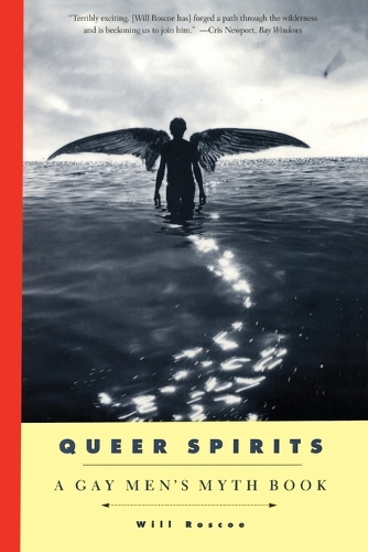 Бумажная книга «Queer Spirits», автор Уилл Роско - фото №1