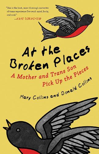 Бумажная книга «At the Broken Places: A Mother and Trans Son Pick Up the Pieces», авторов Дональд Коллинз, Мэри Коллинз - фото №1