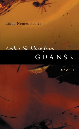 Паперова книга «Amber Necklace from Gdansk: Poems», автор Лінда Немек Фостер - фото №1
