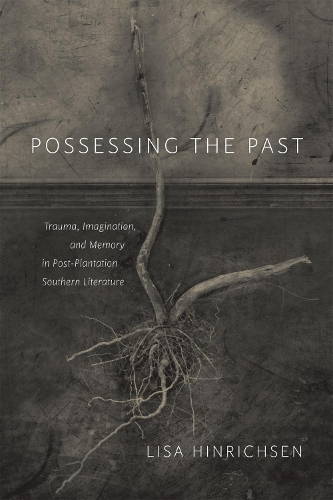 Паперова книга «Possessing the Past: Trauma, Imagination, and Memory in Post-Plantation Southern Literature», автор Ліза Хінріхсен - фото №1
