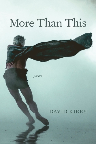 Паперова книга «More Than This: Poems», автор Девід Кірбі - фото №1