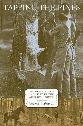 Бумажная книга «Tapping the Pines: The Naval Stores Industry in the American South», автор Роберт Б. Аутленд III - фото №1