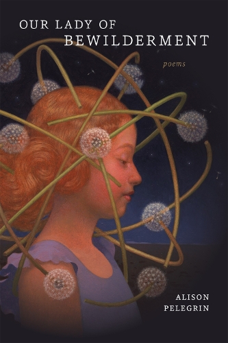 Бумажная книга «Our Lady of Bewilderment: Poems», авторов Элисон Пелегрин, Ава Ливелл Хеймон - фото №1