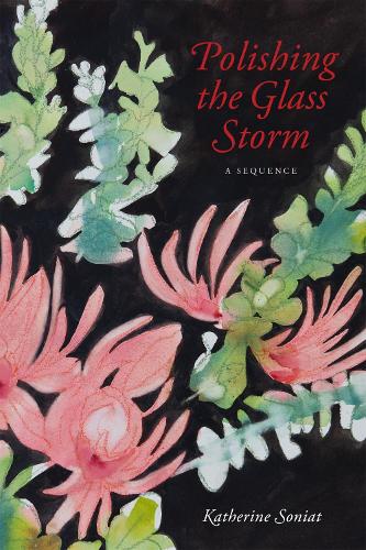 Бумажная книга «Polishing the Glass Storm: A Sequence», автор Кэтрин Сониат - фото №1