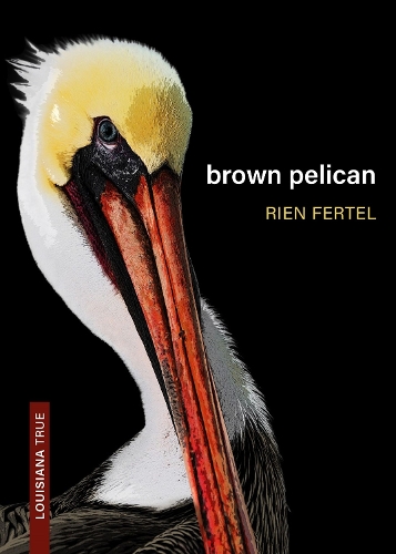 Паперова книга «Brown Pelican», автор Рієн Фертель - фото №1
