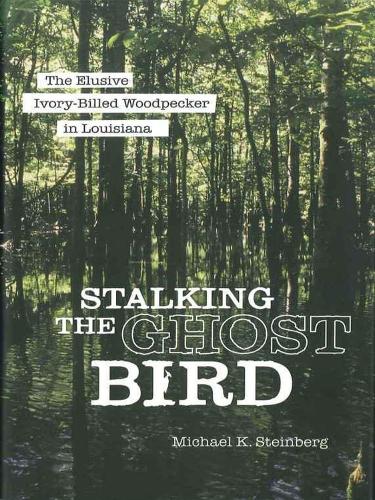Бумажная книга «Stalking the Ghost Bird: The Elusive Ivory-Billed Woodpecker in Louisiana», автор Майкл К. Штейнберг - фото №1