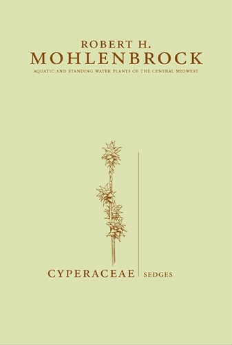 Бумажная книга «Cyperaceae: Sedges», автор Роберт Х. Моленброк - фото №1