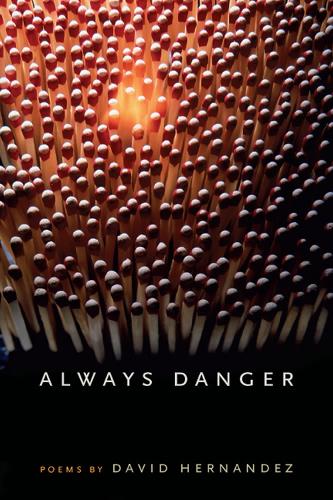 Бумажная книга «Always Danger», автор Дэвид Эрнандес - фото №1
