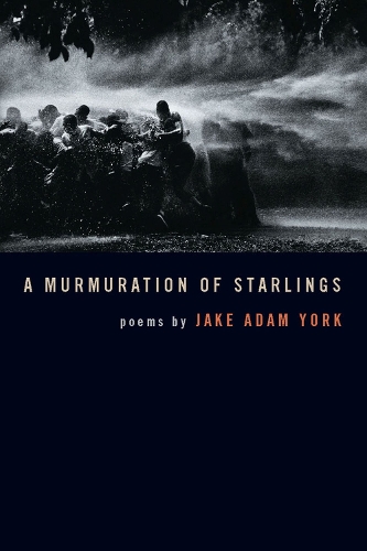 Паперова книга «A Murmuration of Starlings», автор Джейк А. Йорк - фото №1