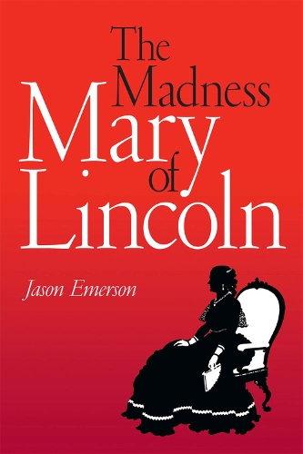 Паперова книга «The Madness of Mary Lincoln», автор Джейсон Емерсон - фото №1