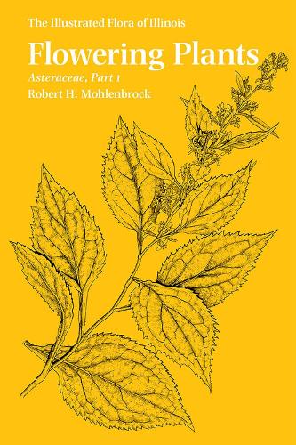 Бумажная книга «Flowering Plants: Asteraceae», автор Роберт Х. Моленброк - фото №1