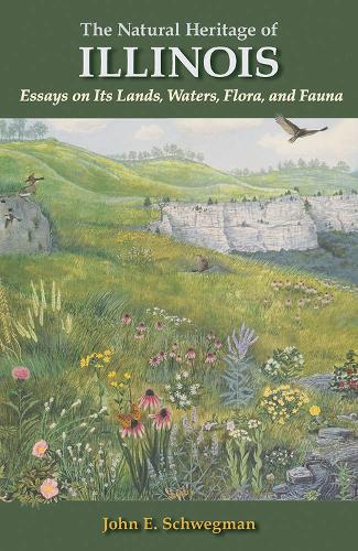Бумажная книга «The Natural Heritage of Illinois: Essays on Its Lands, Waters, Flora, and Fauna», автор Джон Э. Швегман - фото №1