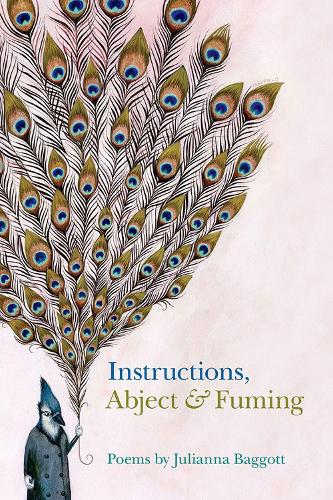 Паперова книга «Instructions: Abject and Fuming», автор Джуліана Багготт - фото №1