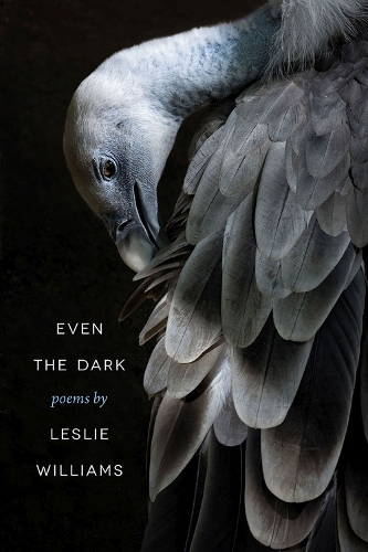 Бумажная книга «Even the Dark», автор Лесли Уильямс - фото №1