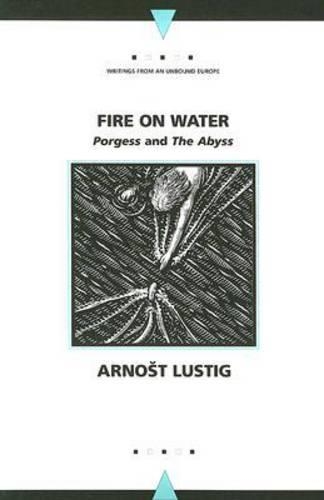 Бумажная книга «Fire on Water: The Abyss and ""Porgess», автор Арност Люстиг - фото №1