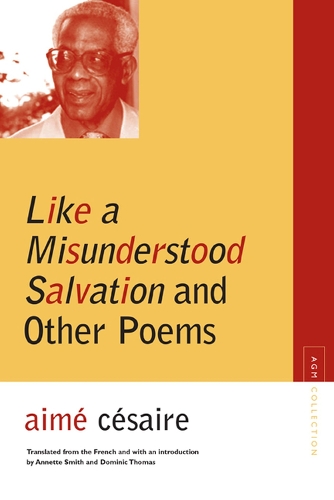 Бумажная книга «Like a Misunderstood Salvation and Other Poems» - фото №1