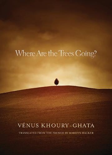 [object Object] «Where Are the Trees Going?», автор Венера Кхури-Гхата - фото №1