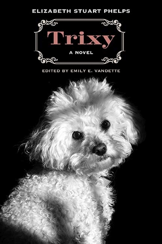 Бумажная книга «Trixy: A Novel», автор Элизабет Стюарт Фелпс - фото №1
