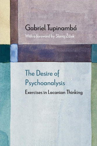 Паперова книга «The Desire of Psychoanalysis: Exercises in Lacanian Thinking», автор Габріель Тупінамба - фото №1