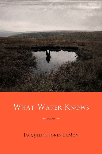 Бумажная книга «What Water Knows: Poems», автор Жаклин Джонс Ламон - фото №1