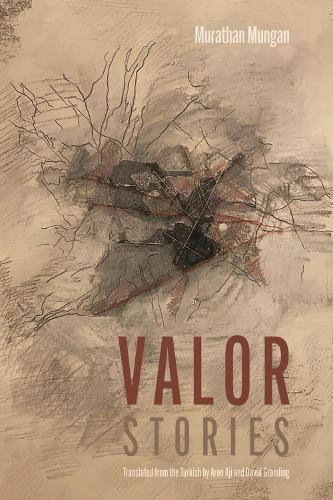 Бумажная книга «Valor: Stories», авторов Арон Аджи, Дэвид Грамлинг, Муратхан Мунган - фото №1