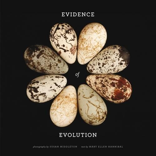 Бумажная книга «Evidence of Evolution», автор Мэри Эллен Ганнибал - фото №1