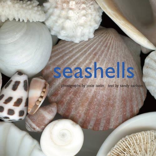 Паперова книга «Seashells», авторів Джозі Ізелін, Сенді Карлсон - фото №1