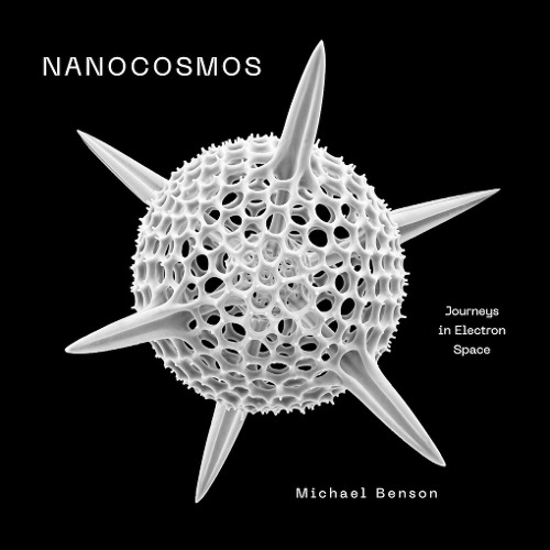 Бумажная книга «Nanocosmos: Journeys in Electron Space», автор Майкл Бенсон - фото №1