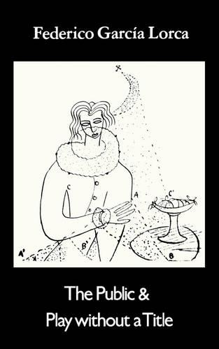 Бумажная книга «The Public & Play Without a Title», автор Федерико Гарсиа Лорка - фото №1