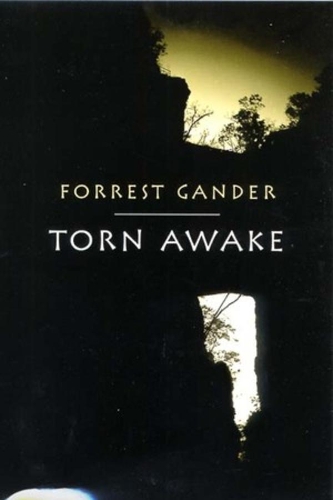 Паперова книга «Torn Awake», автор Форрест Гандер - фото №1