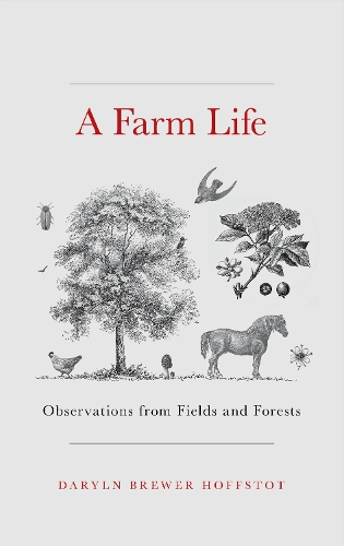 Паперова книга «A Farm Life: Observations from Fields and Forests», автор Дерілін Брюер Гофстот - фото №1